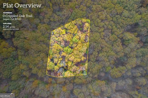 0 Crippled Oak TRL Jasper GA 30143