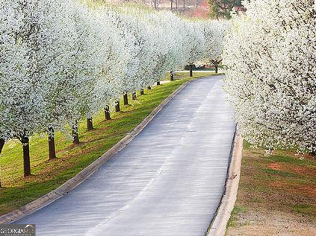 Photo of 0 Early Red Pippin #1818, Clarkesville, GA 30523 (MLS # 10662713)