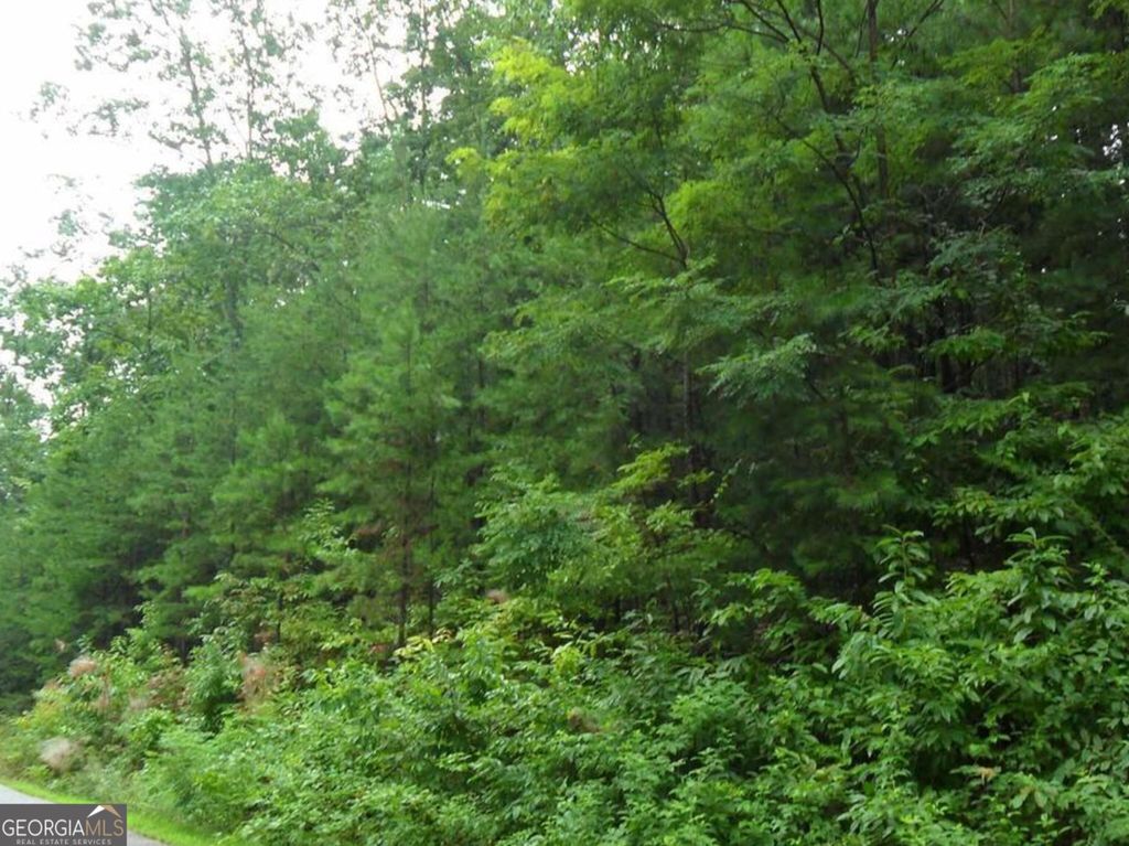 Photo of 0 Early Red Pippin #1818, Clarkesville, GA 30523 (MLS # 10662713)