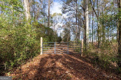 Photo of 13145 Ga Highway 0315, Cataula, GA 31804 (MLS # 10653820)