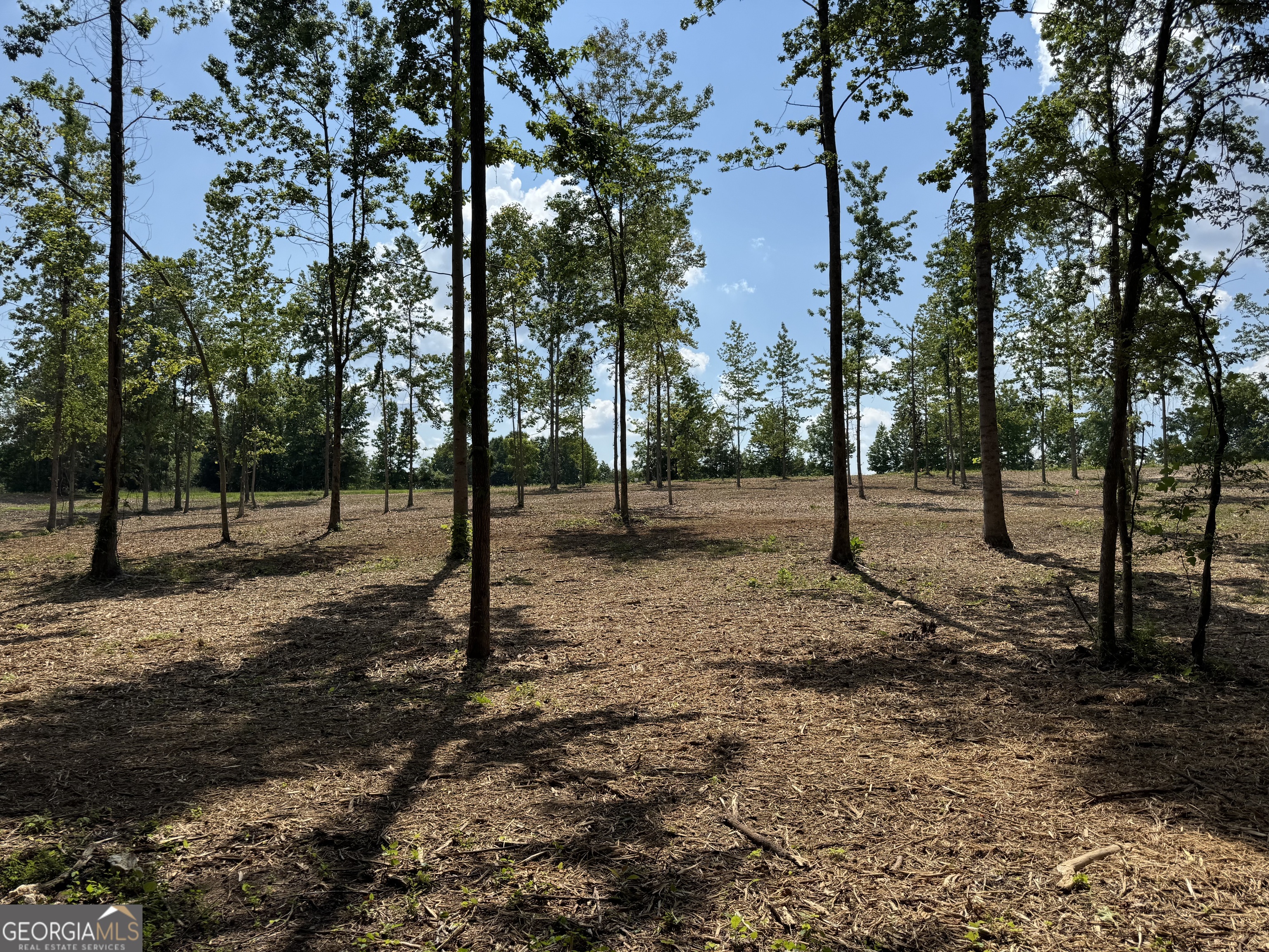 This beautiful 5.77-acre tract offers the perfect mix. With a partially cleared area, mature hardwoods, and multiple great homesites, it's ready for you to build your dream home. Located just minutes from Carrollton and surrounded by scenic farmland, you'll enjoy peaceful country living with the convenience of being close to town. Located in the desirable Centralhatchee School District. This property has room for a home, shop, garden, or anything else you've been dreaming up for country living.