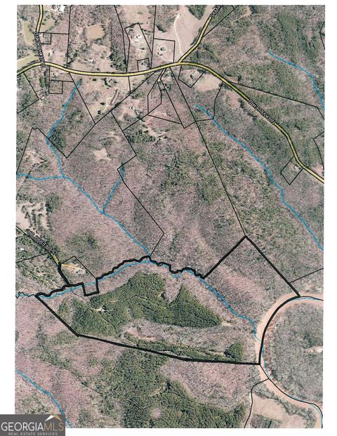 Photo of 000 Old Ferry Road, Elberton, GA 30635 (MLS # 10683807)