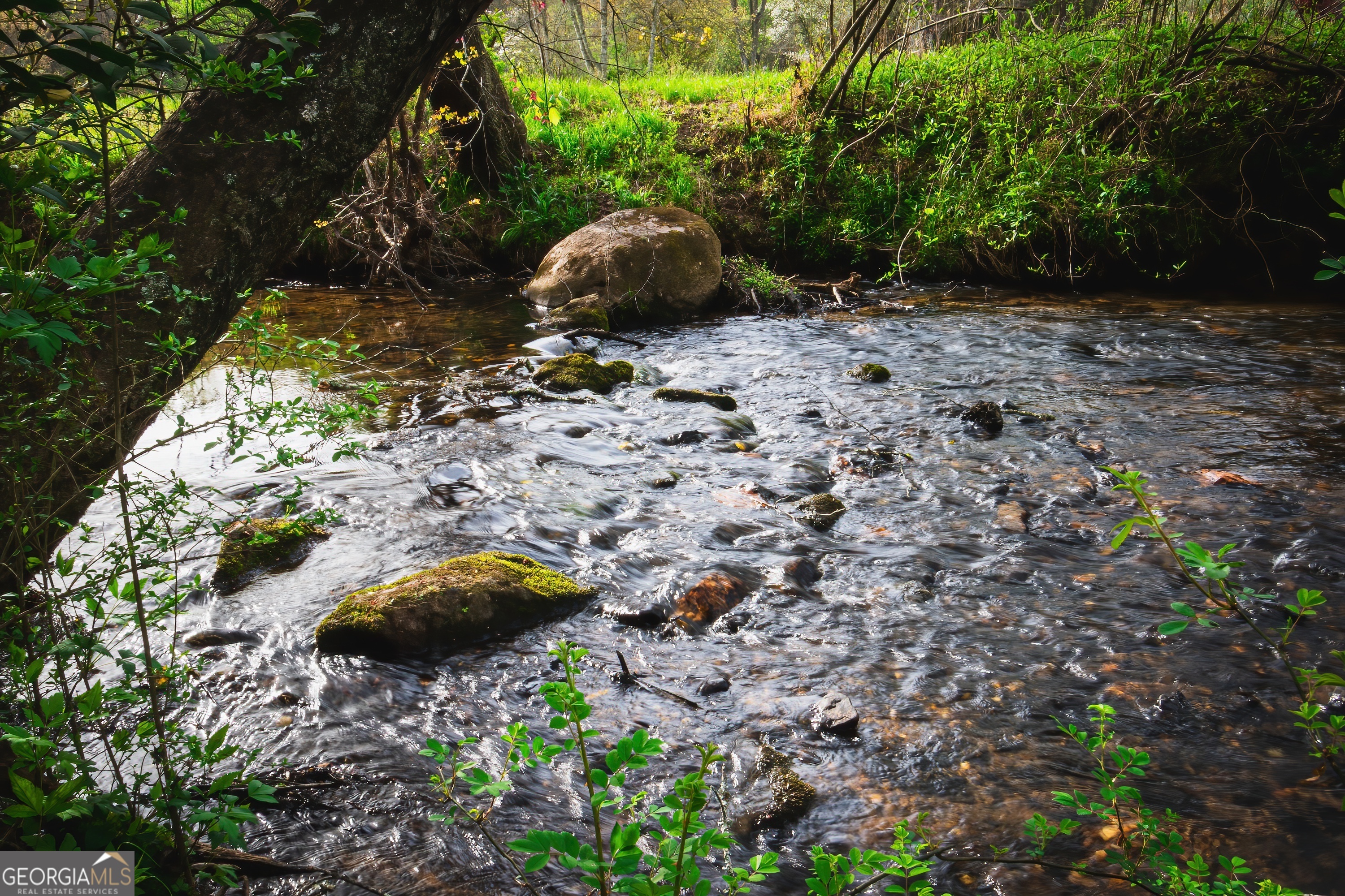 742 Beaver Run RD 16