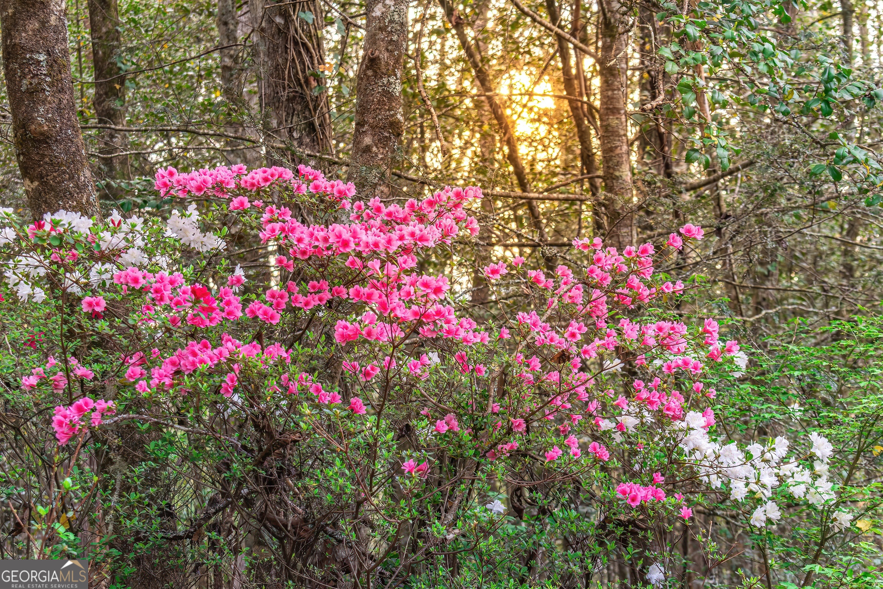 742 Beaver Run RD 16