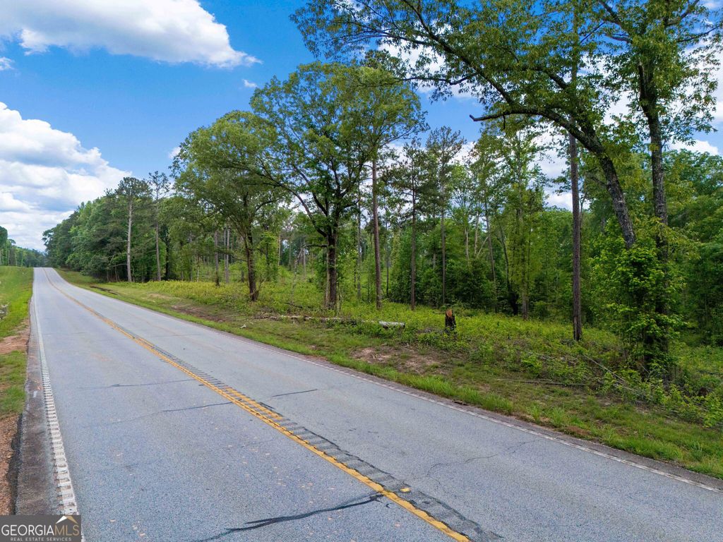 Photo of 0 Hwy 100, Franklin, GA 30217 (MLS # 10768826)