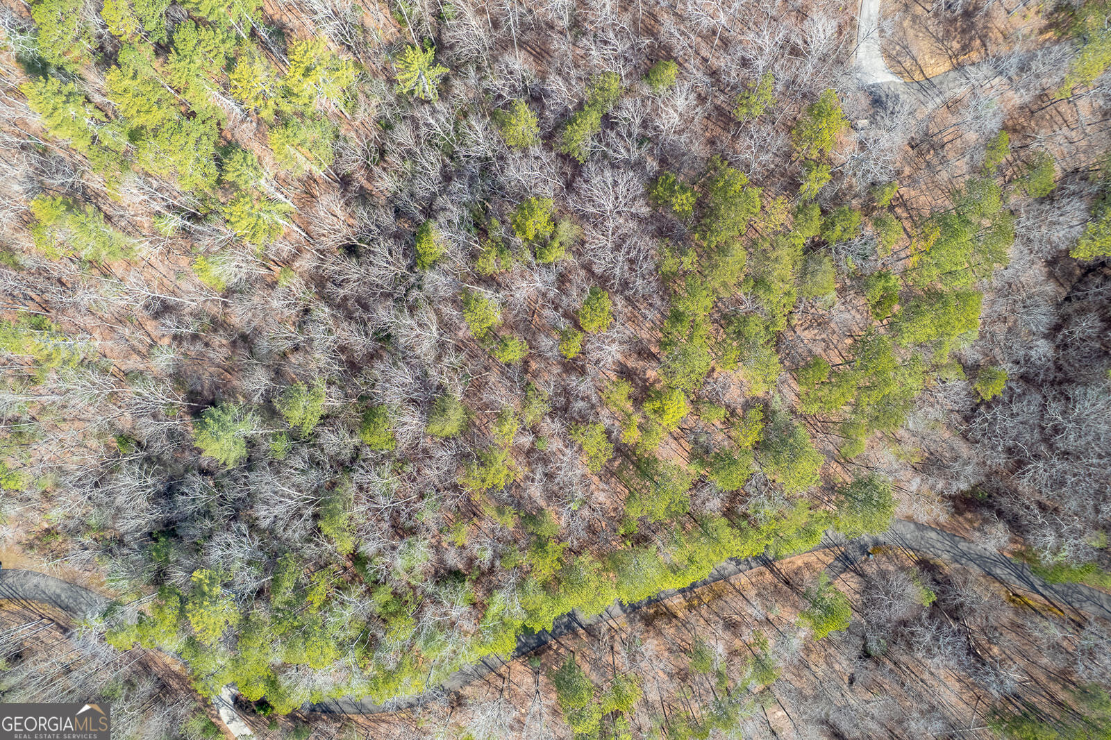LOT 101R Mountain Creek Hollow DR 101