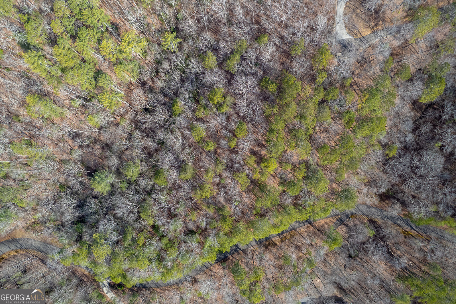 LOT 101R Mountain Creek Hollow DR 101