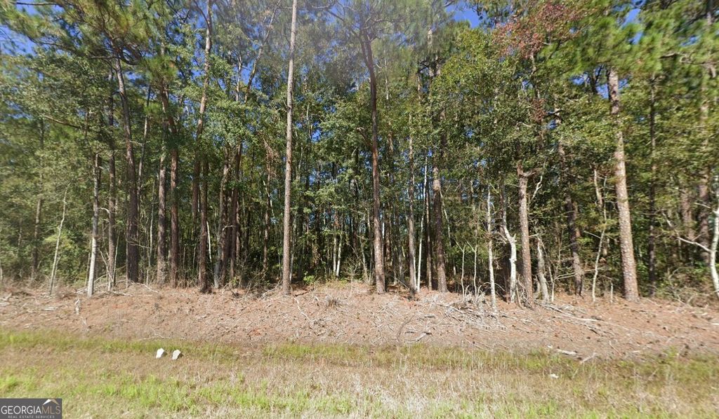 Photo of 5201 Highway 32, Hortense, GA 31543 (MLS # 10766832)