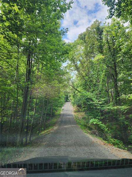 None - 6.66 Private Acres - Residential