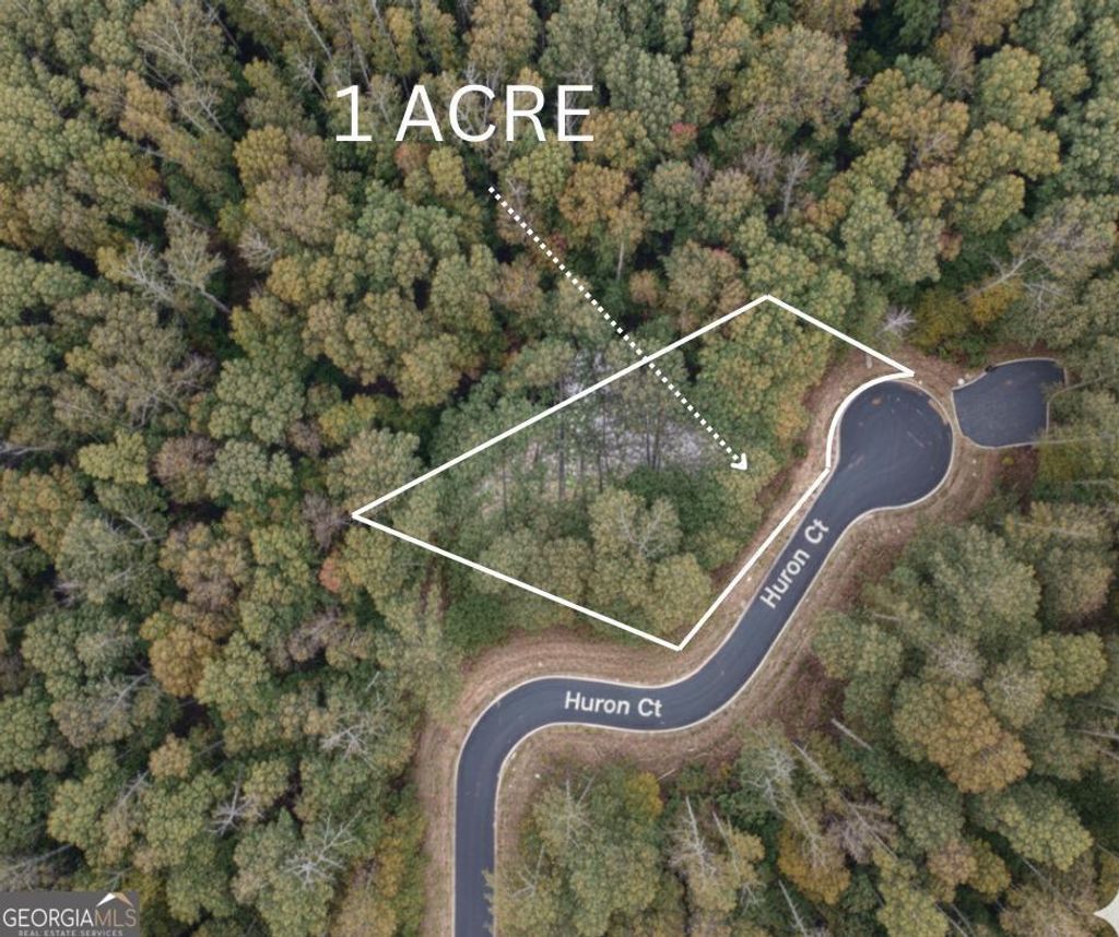 Photo of 0 Huron Court, Ellijay, GA 30540 (MLS # 10657005)