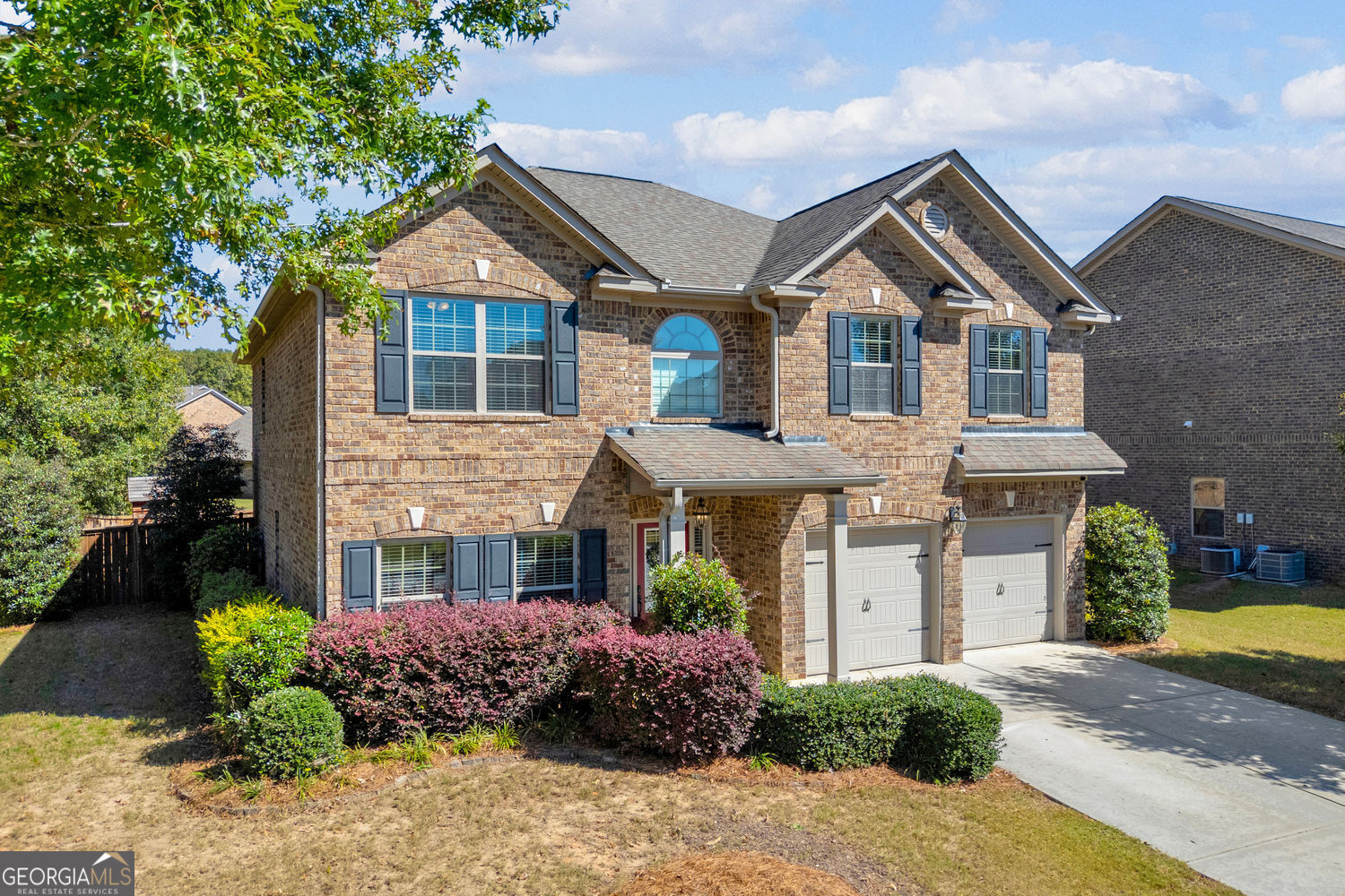 972 Spanish Moss TRL