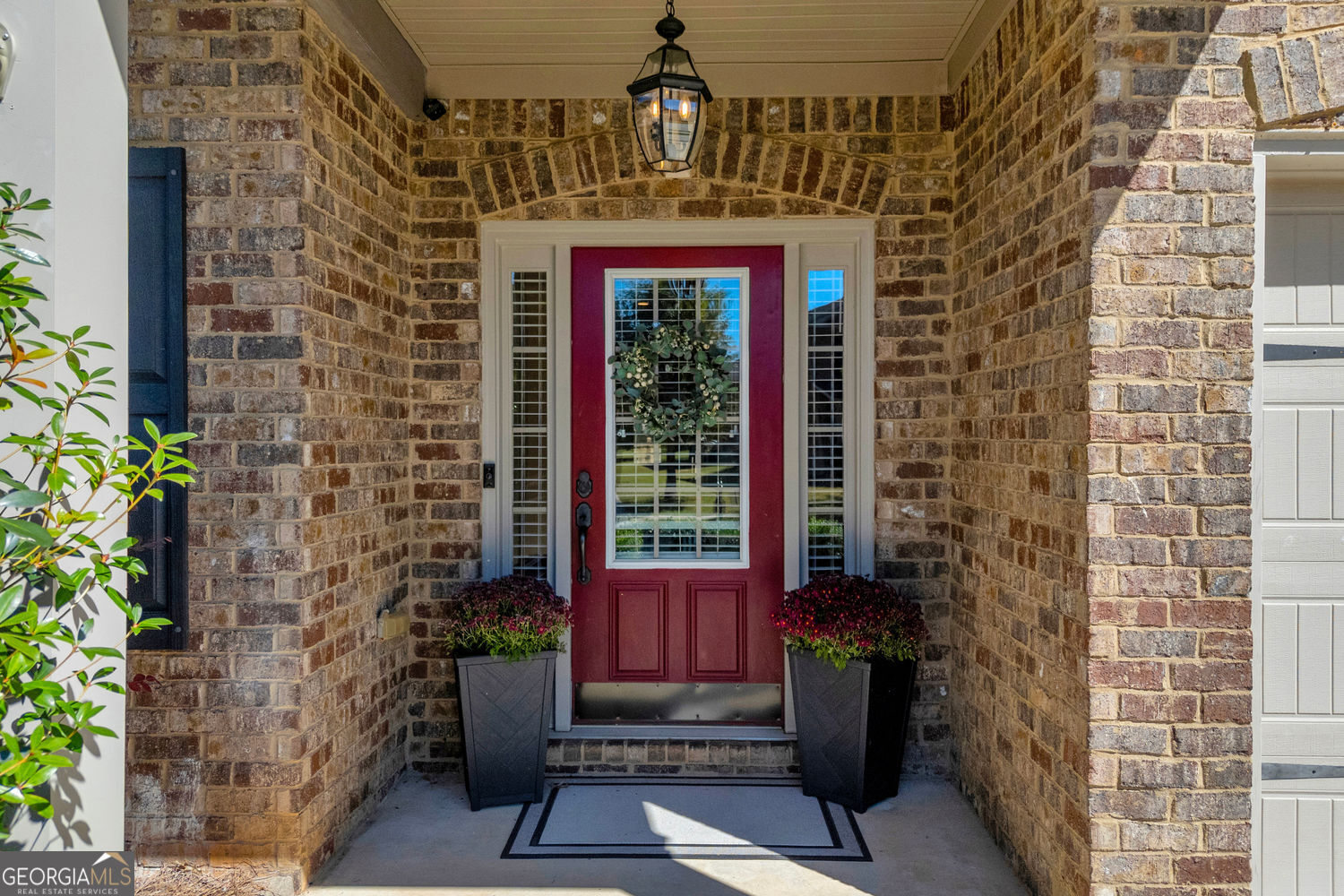 972 Spanish Moss TRL