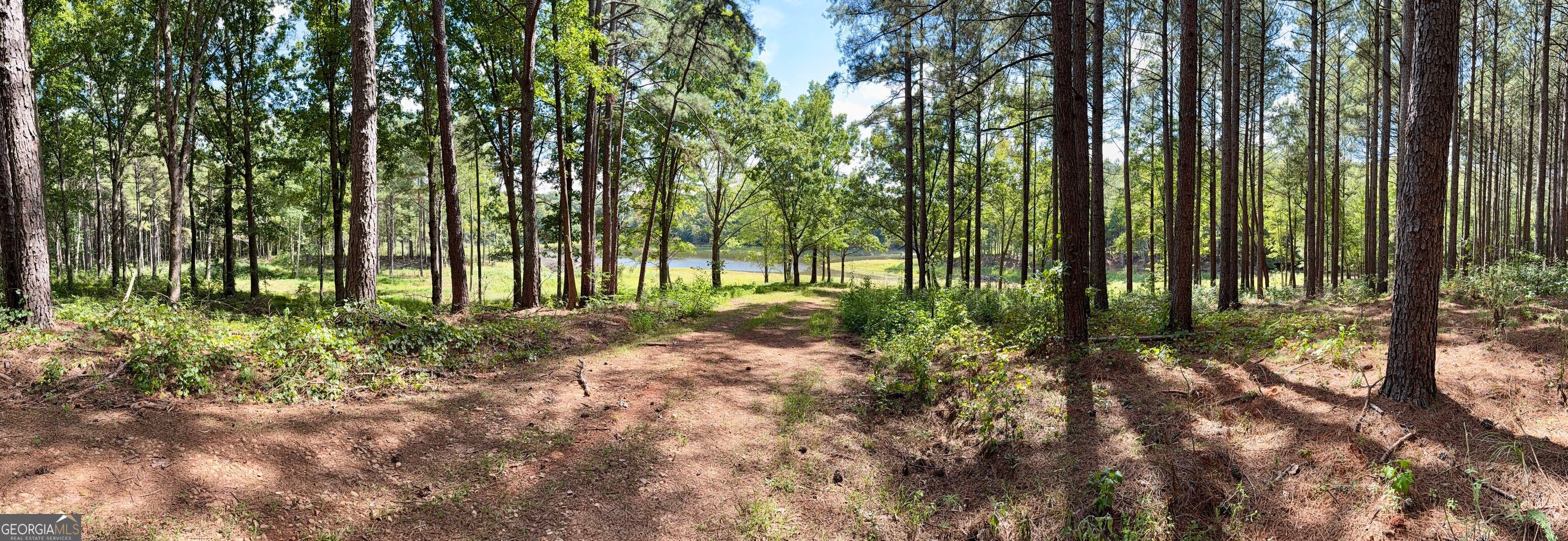 1102 Mitchell RD