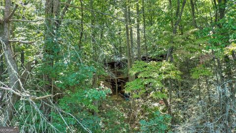 A home in Blue Ridge