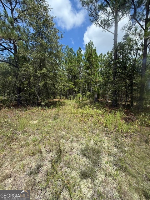 Discover the perfect blend of privacy and convenience with this 5-acre property located just minutes from the heart of Macon. Whether you're looking to build your dream home or invest in future development, this versatile parcel offers it all. 5 acres of slightly sloping, mostly usable land. Peaceful setting just 5 minutes from Interstate 75 and 20 minutes to Warner Robins, with easy access to shopping, dining, and major highways. Ideal for residential build or recreation. Electricity nearby; buyer to verify water/septic options Mature trees and open space provide a beautiful natural backdrop. Enjoy the best of both worlds - the tranquility of the countryside with the conveniences of the city just a short drive away. Don't miss your opportunity to own this rare piece of land in growing Bibb County.