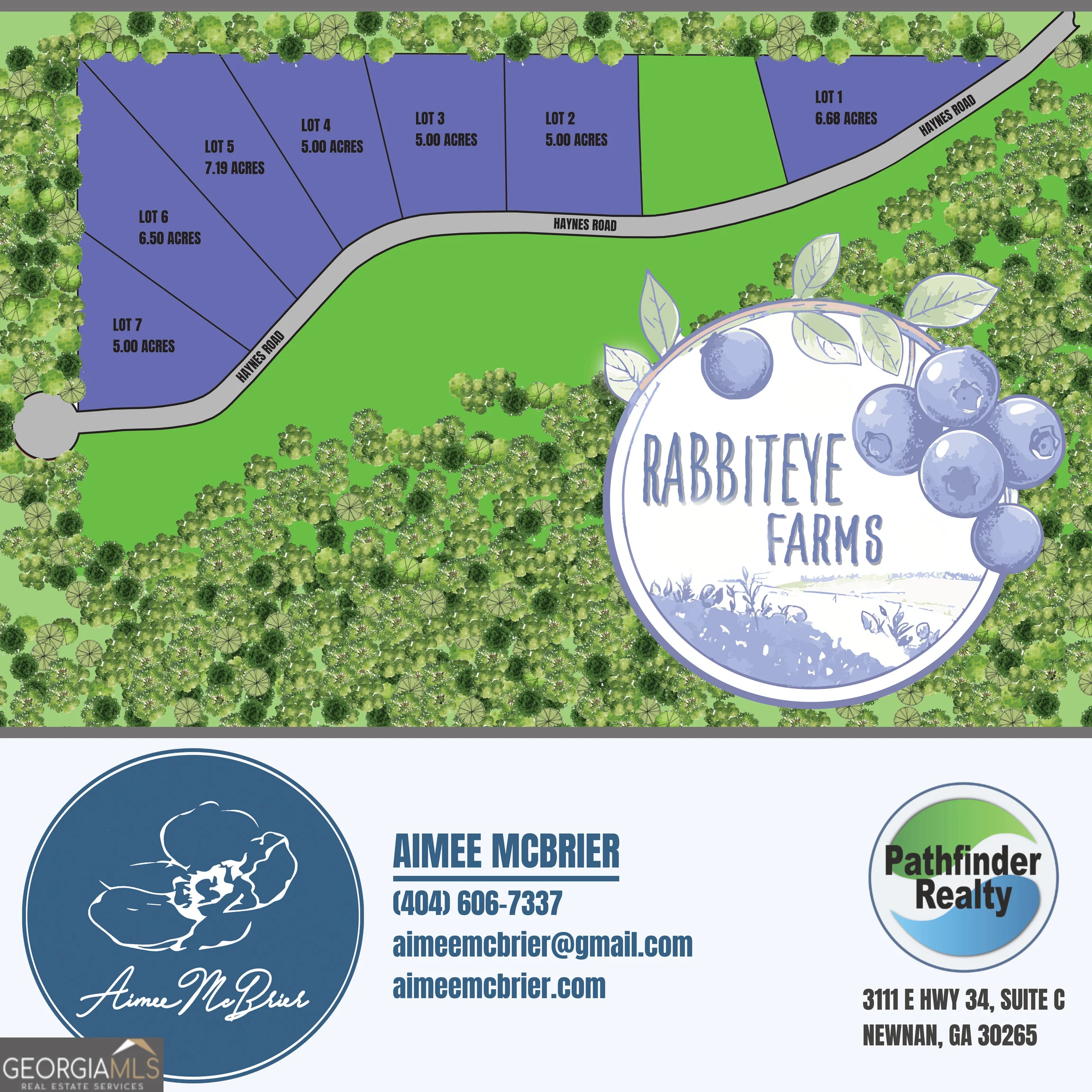 LOT 4 Haynes Road, Moreland, GA, 30259