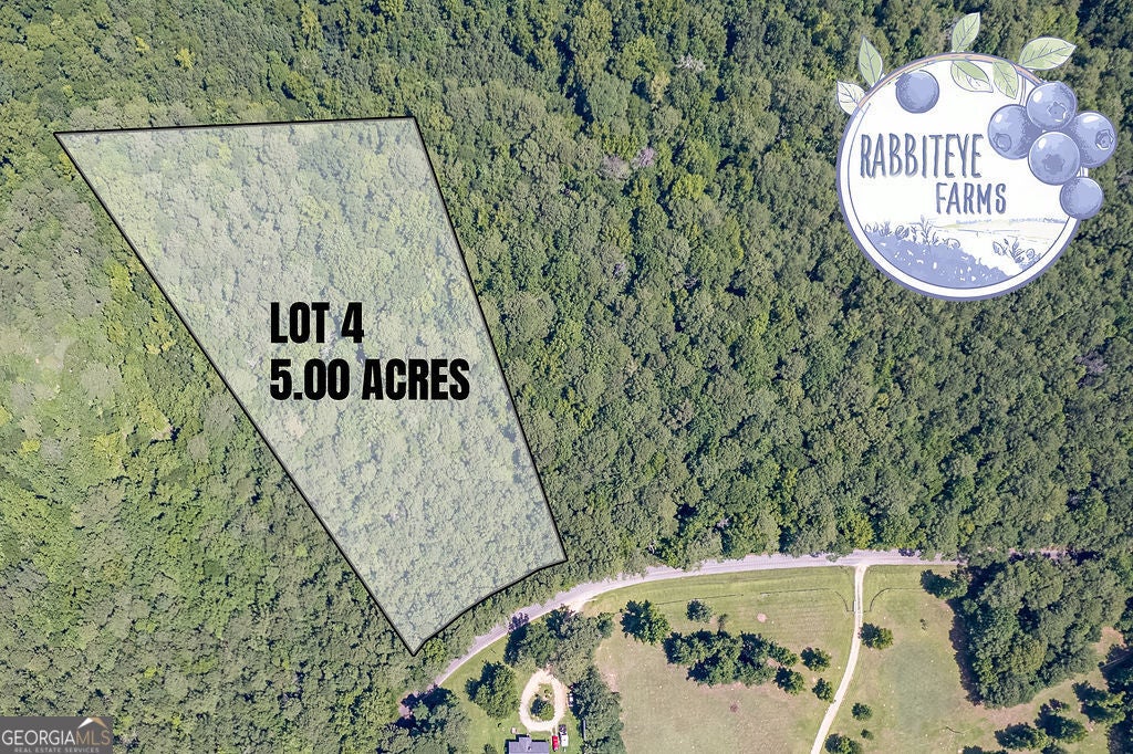 LOT 4 Haynes RD