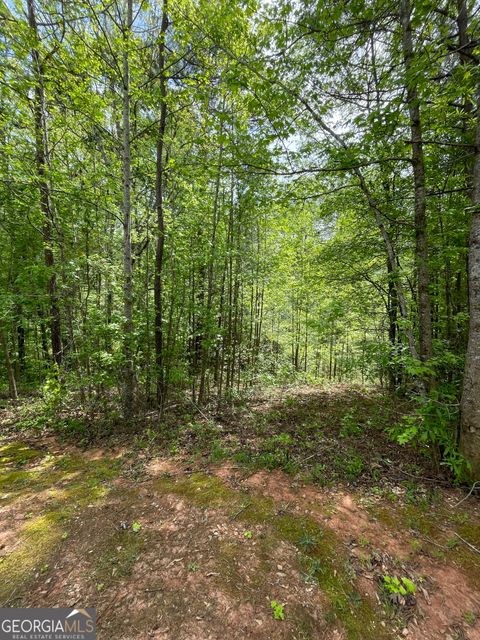 Photo of 205 White Birch Drive, Covington, GA 30016 (MLS # 10732166)