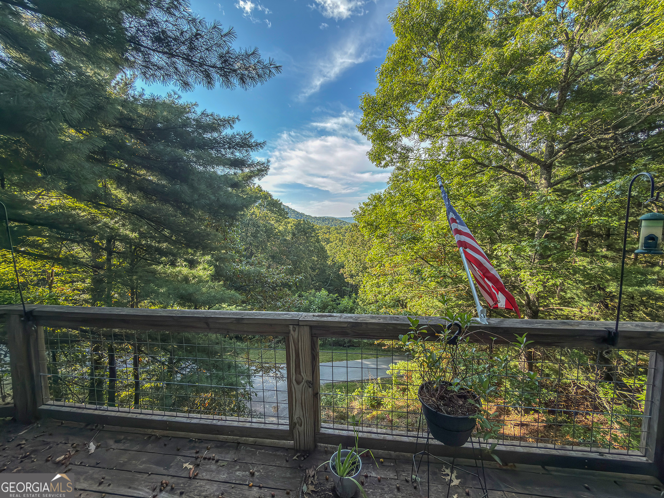 169 Alex Mountain DR