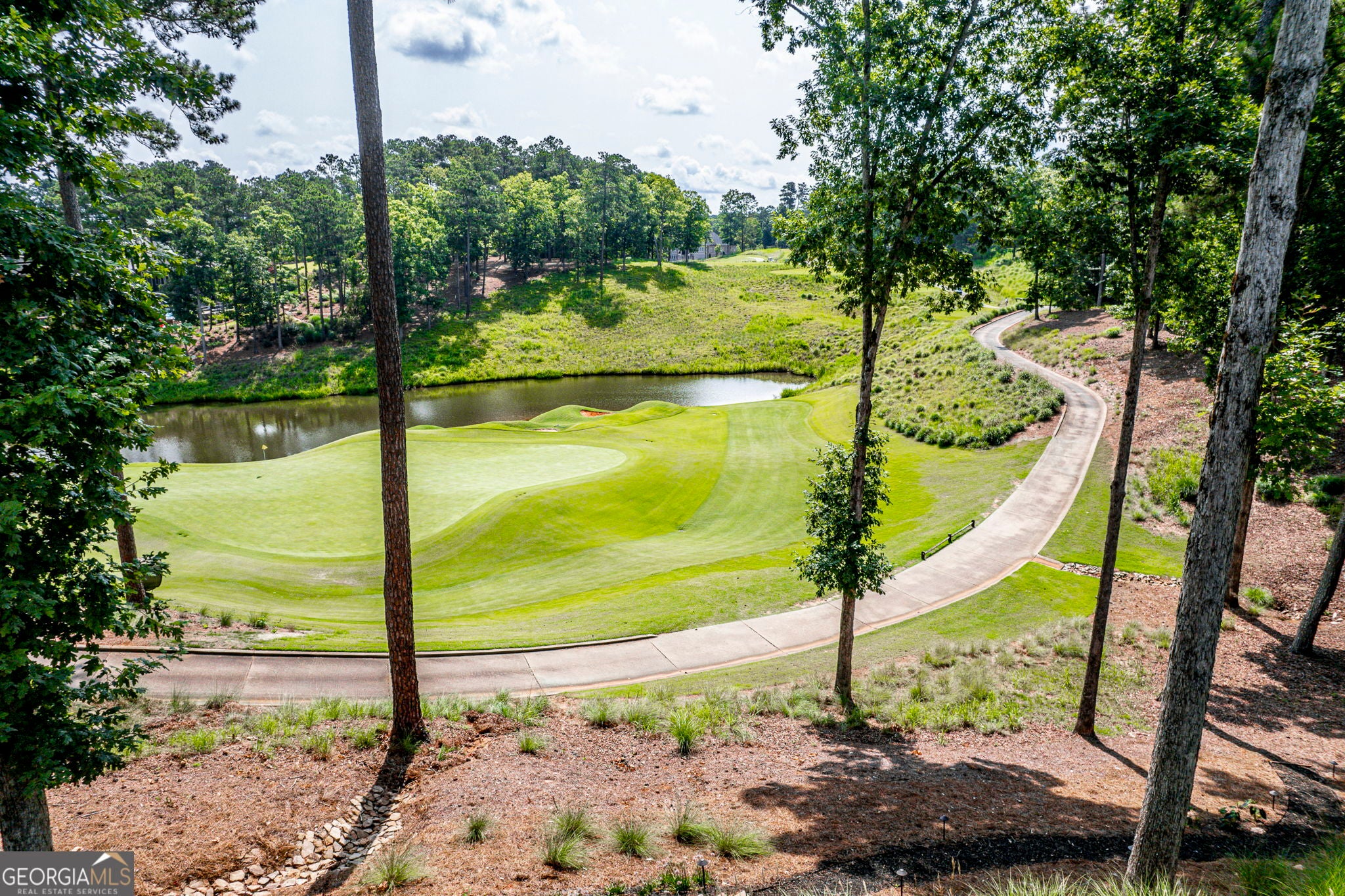 1140 Lumbering Creek