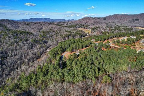 Photo of 46 Inwood Lane, Blairsville, GA 30512 (MLS # 10035668)
