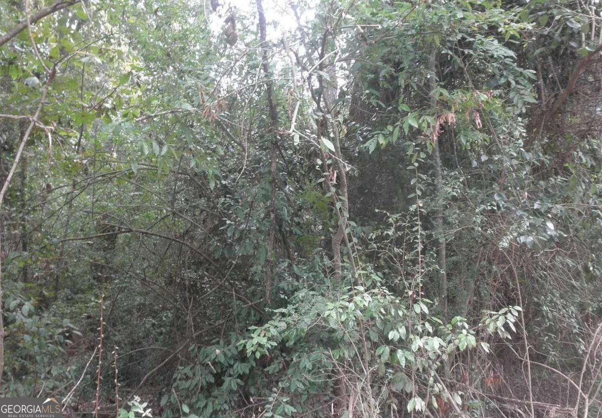 Prime Land Opportunity! Situated in a growing area with convenient access to Jackson Lake, a golf course, tennis and pickleball courts, baskeball courts, a playground, High Falls State Park, the Dauset Trails Nature Center, and more!! Optional HOA if you use the community dock! Perfect opportunity to build your dream home in a community full of potential!!!