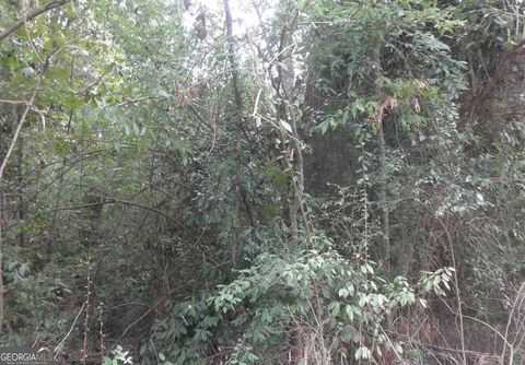 Photo of 0 Waters Street, Monticello, GA 31064 (MLS # 10553696)