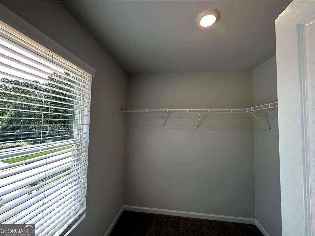 Paces Lakes - Residential