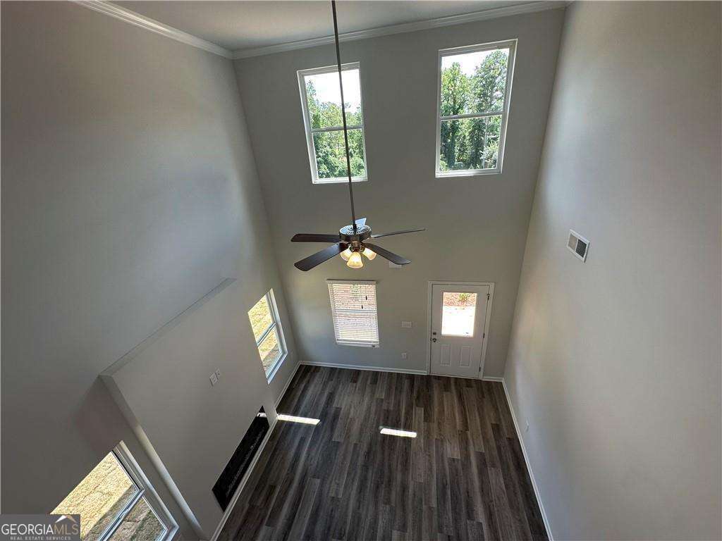 Paces Lakes - Residential