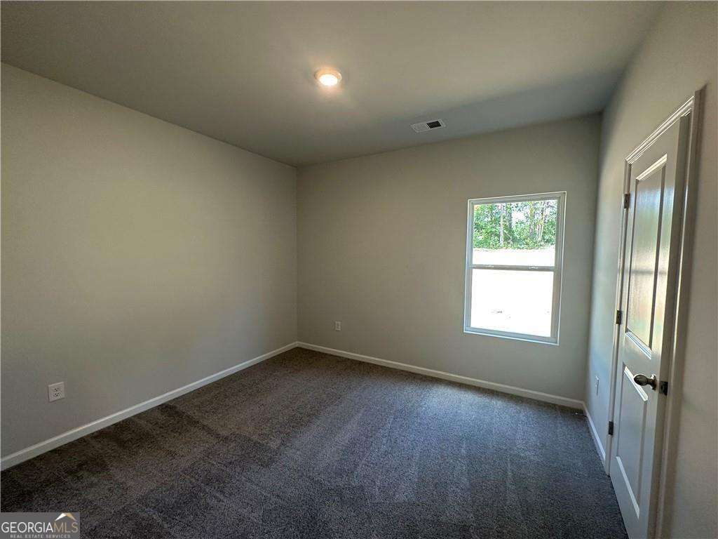 Paces Lakes - Residential