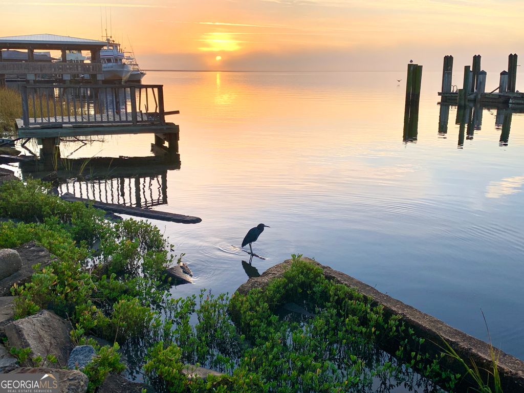 Photo of 0 Point Peter Place, St. Marys, GA 31558 (MLS # 10691118)