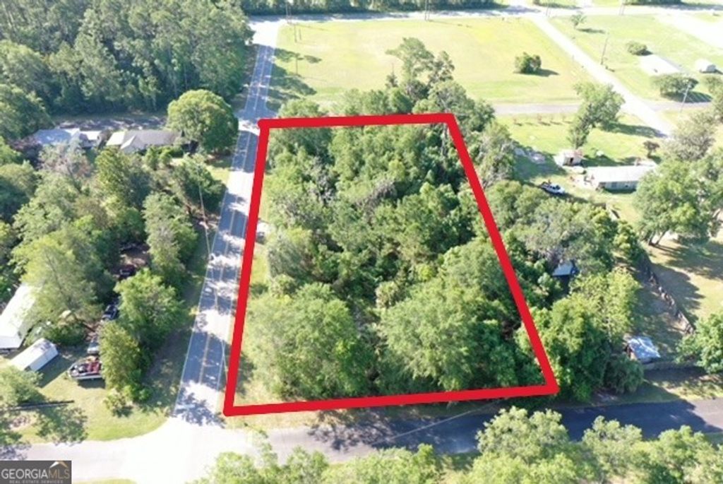 Photo of 438 Davis Street, Homeland, GA 31537 (MLS # 10784155)