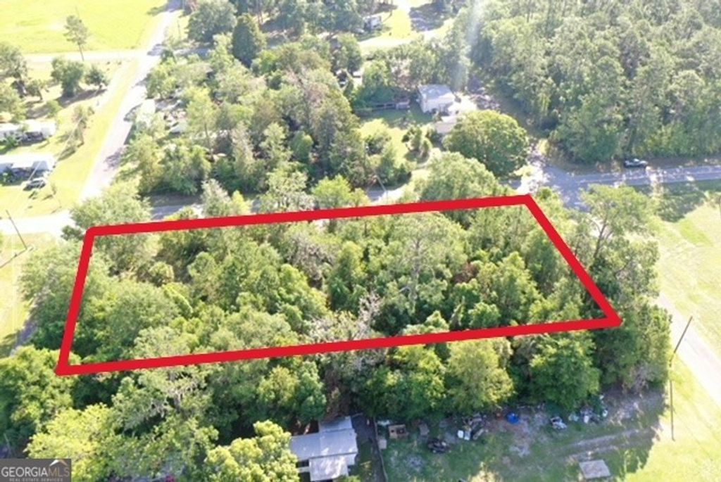Photo of 438 Davis Street, Homeland, GA 31537 (MLS # 10784155)