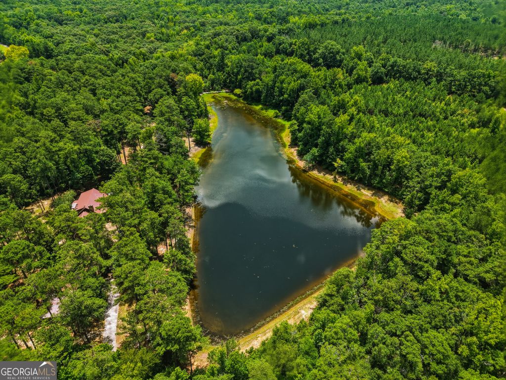 Photo of 1202 Eddie Martin Road, Buena Vista, GA 31803 (MLS # 10808331)