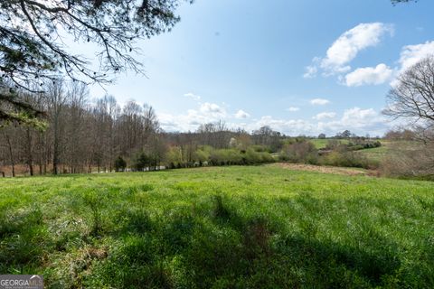 Photo of 13 W L Williams, Commerce, GA 30530 (MLS # 10707362)