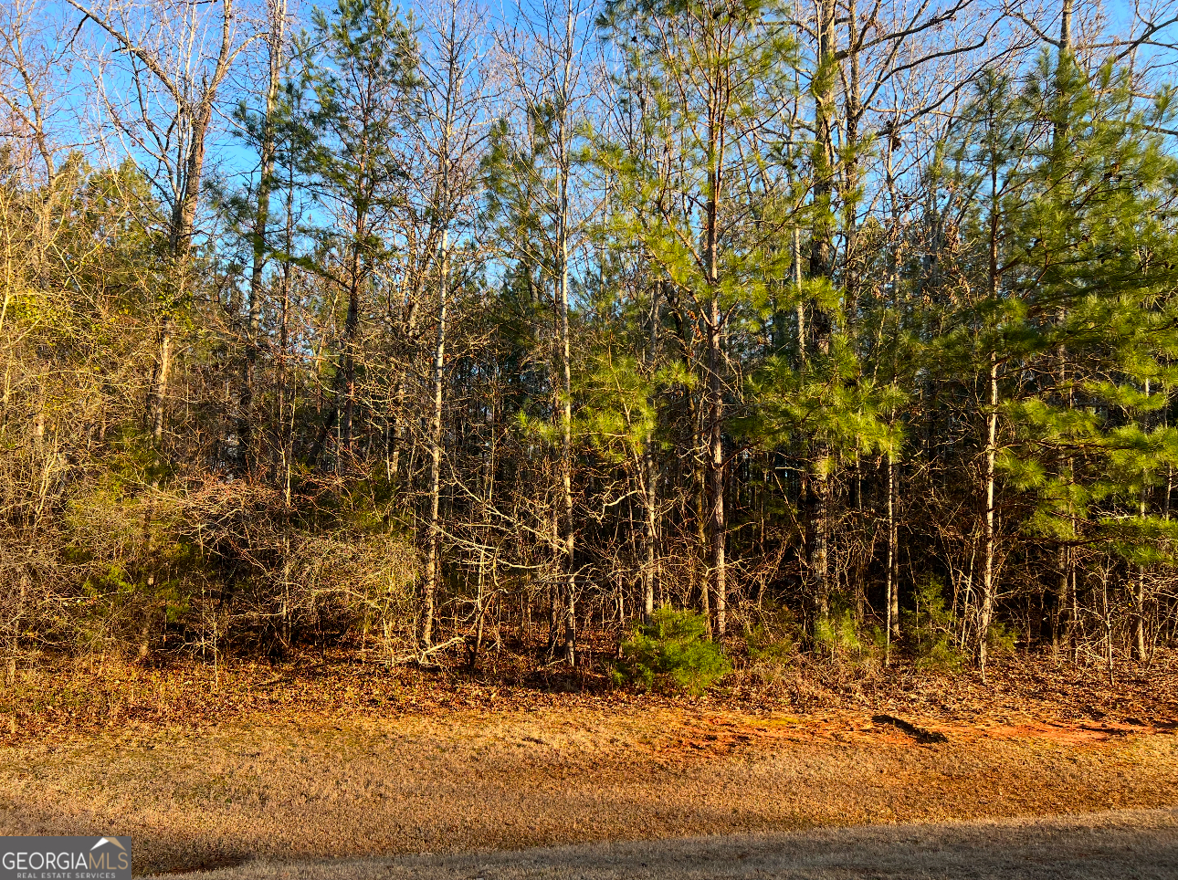 River Forest building lot. 2.3 Acres. Private lot. Conveniently located near the front entrance. River Forest is a gated community, offering a championship golf course, full service clubhouse, parks, walking trails, fitness, swim and tennis facilities.