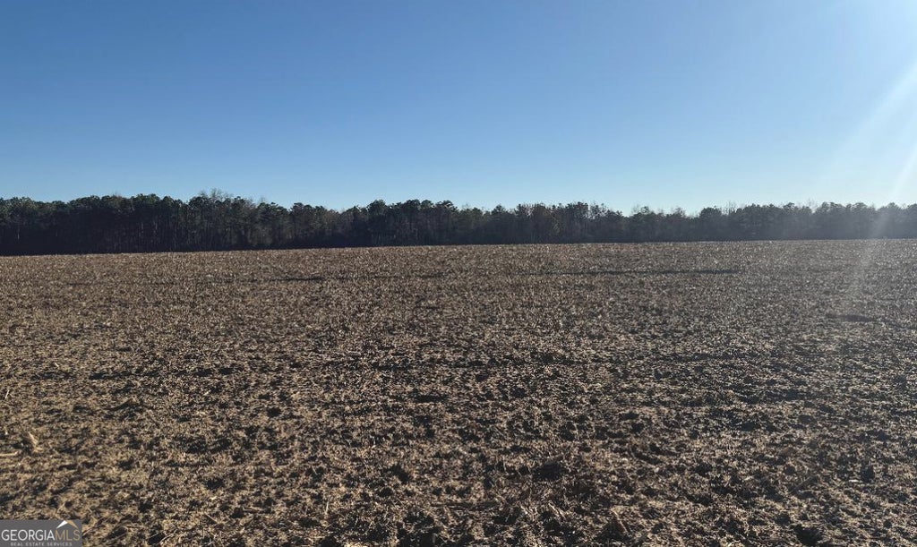 Photo of 0 Whitfield Road, Houston, GA 31025 (MLS # 10781571)