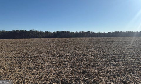 Photo of 0 Whitfield Road, Elko, GA 31025 (MLS # 10781571)