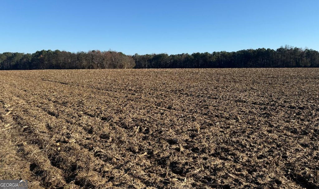 Photo of 0 Whitfield Road, Houston, GA 31025 (MLS # 10781571)