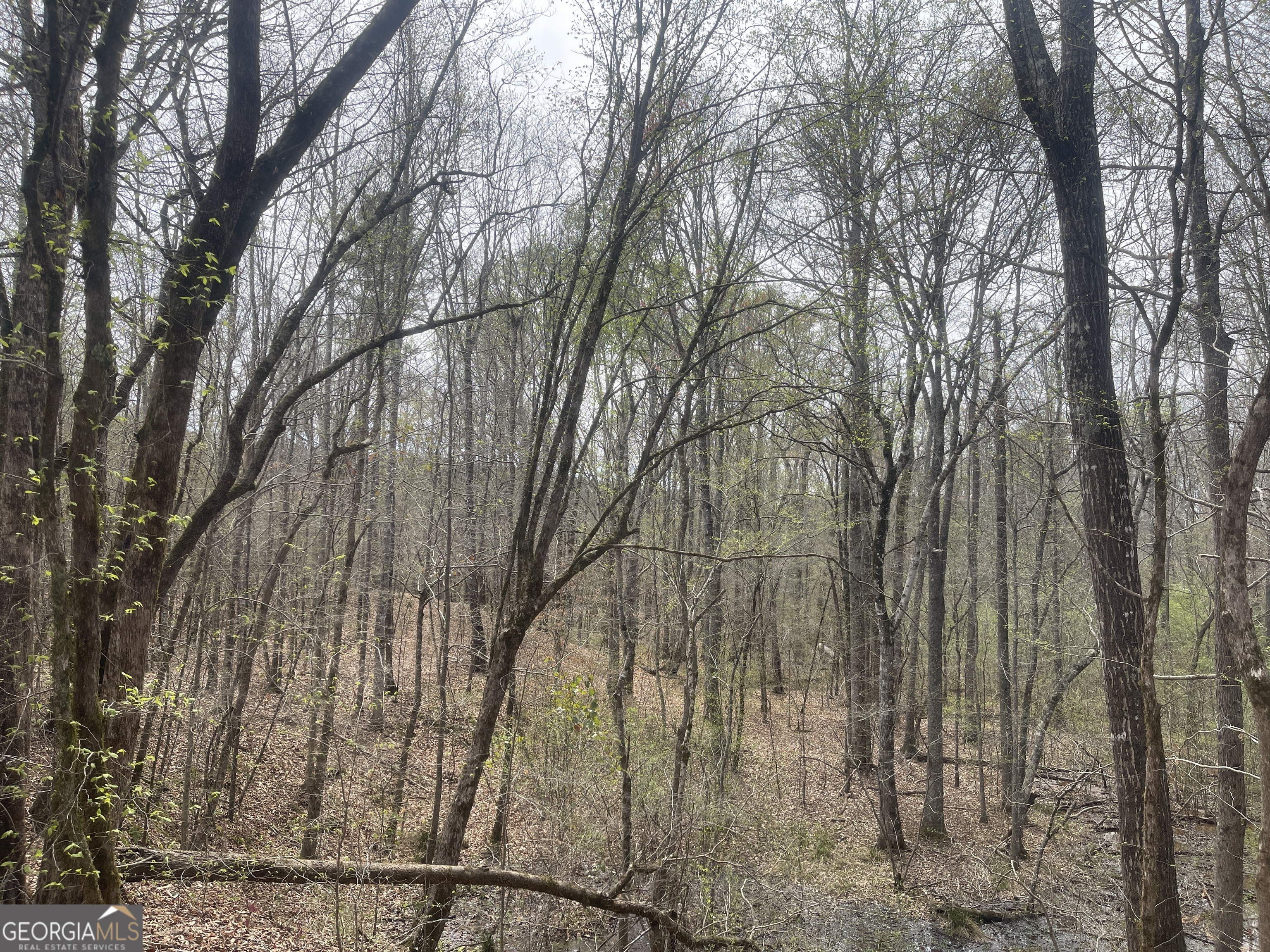 5 Acre lot available. Uplands are planted with pines with well drained soils suitable for septic systems. Minutes away are two boat ramps that make accessing the Chattahoochee river and West Point Lake a breeze. Directly across the road is West Point WMA with over 8,000 acres of recreational opportunities. Ten minutes to Franklin and ten minutes to Lagrange makes your runs to town convenient while still being able to enjoy the peace and quiet of the country. Heard County public schools.