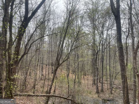 0 Bevis Rd Parcel 4 Franklin GA 30217