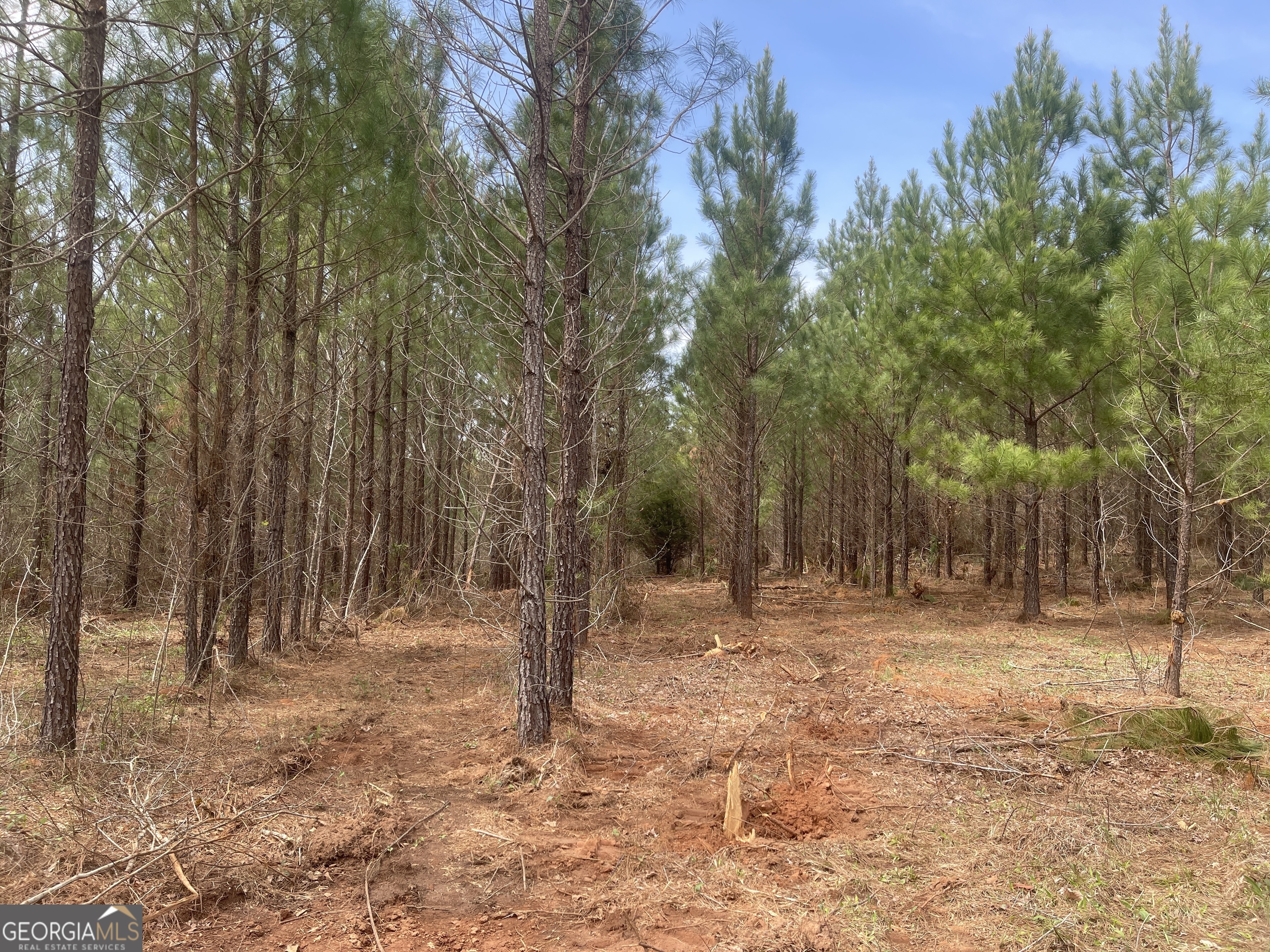 0 Bevis Rd Parcel 4