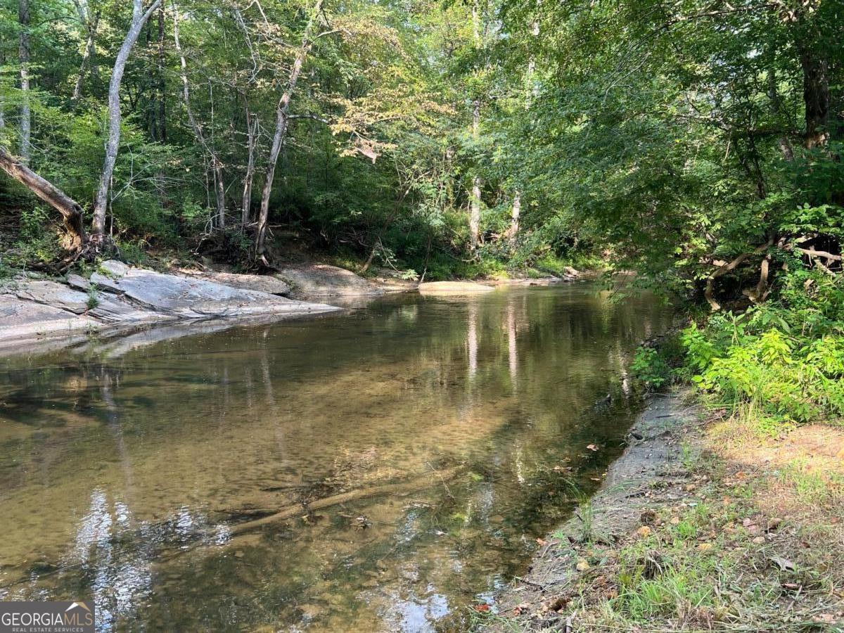 This 9.6 acres of pasture and some woods with CREEK FRONTAGE on TALKING ROCK CREEK offers a unique opportunity. You can build a home, create a small farm, or simply keep the property as an investment and recreation. Talking Rock Creek is approximately 30 feet wide at the frontage of this parcel. Bring your canoe, kayak, or inner tubes and enjoy fishing, swimming, wading, and paddling in the beautiful creek. You can build a home on a small rise, a bit back from the creek, and enjoy the daily view of the water, wildlife, and small pasture below and still have a large open pasture/yard. Bring the camper or your home plans and make this your property today. This property offers Approximately 84 feet of owned Creek frontage and 380 Feet of creek frontage to share with one other property owner by a deeded easement to both property owners. A road is already in place of grass and gravel along the side of the property to reach the creek frontage. Road is a 50 ft shared easement with one other property owner.