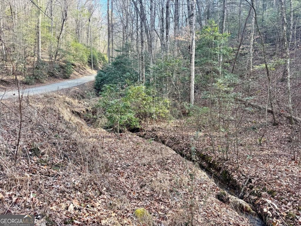 Photo of 53 Amy Creek Circle, Ellijay, GA 30540 (MLS # 10696023)