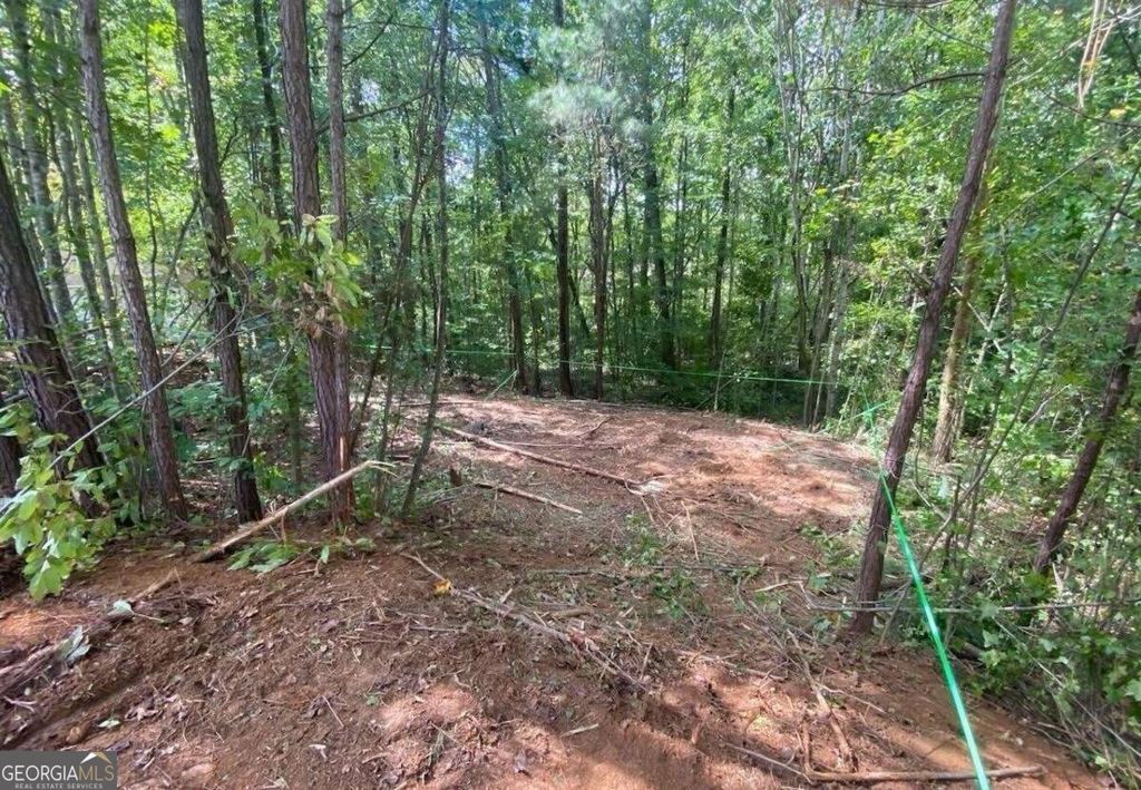 Photo of 248 Pioneer Trail, Dallas, GA 30132 (MLS # 10650677)