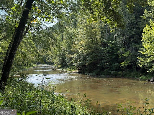 Photo of 331 Rushing River Rd, Talking Rock, GA 30175 (MLS # 10834641)