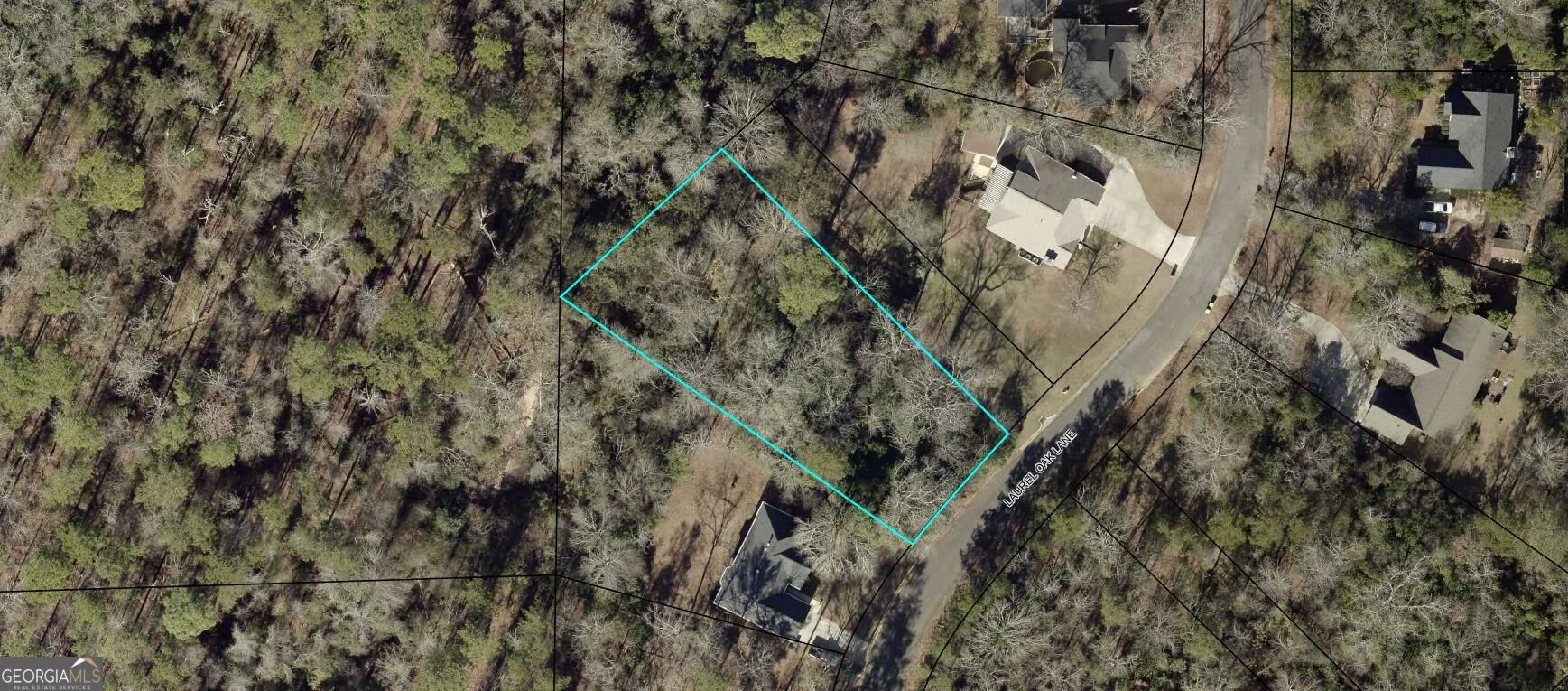 115 Laurel Oak Lane
