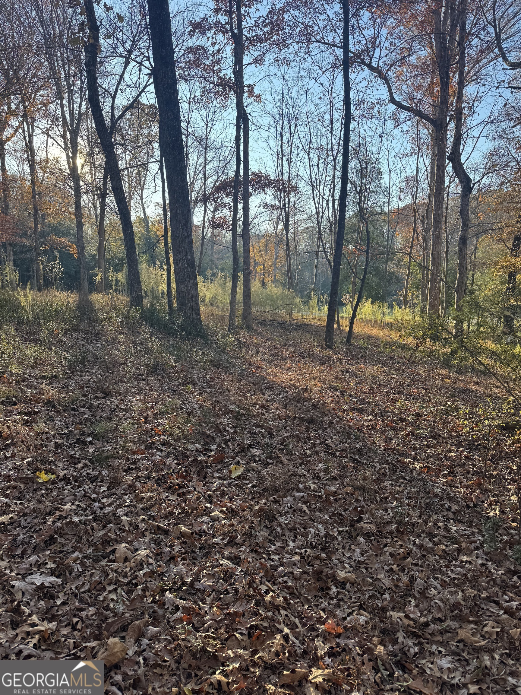 Quiet Oaks - Land