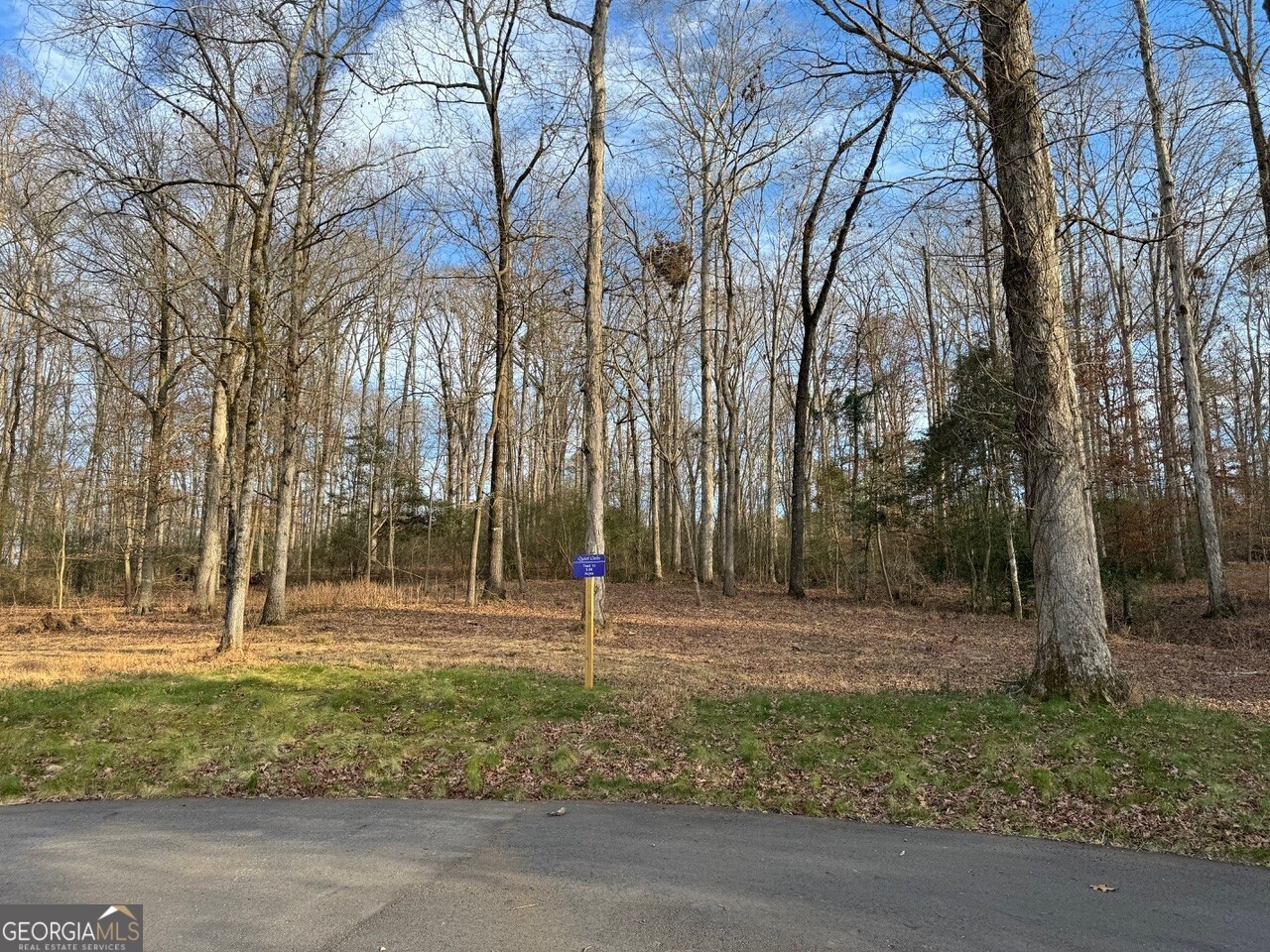Looking for 5 beautiful acres of land with privacy in North Oconee County?  Look no further, as Quiet Oaks Subdivision offers a new residential community of 14 five acre estate lots where you can build your dream home and enjoy gorgeous sunrises and sunsets.  Most lots have towering white oaks and perennial flowing creeks, while several lots also have open fescue fields for your horse and two lots share a fish pond.  Quiet Oaks is conveniently located about 2 miles from the intersection of Highway 53 and US 78, where Stripling's General Store is located.  Oakley Trail has street lights, underground power to each of the lots and the paved road is maintained by the county.  Your investment will be protected with covenants that, in part, require 1 story homes to have 2,500 sq. ft. and 2 story homes to have 3,000 sq. ft.  This property has easy access to Highway 316 which is about 5 miles away and it is less than 5 minutes to the new Dove Creek Elementary and Middle School.  Contact Thomas Verner at 706-540-4912 for more information.