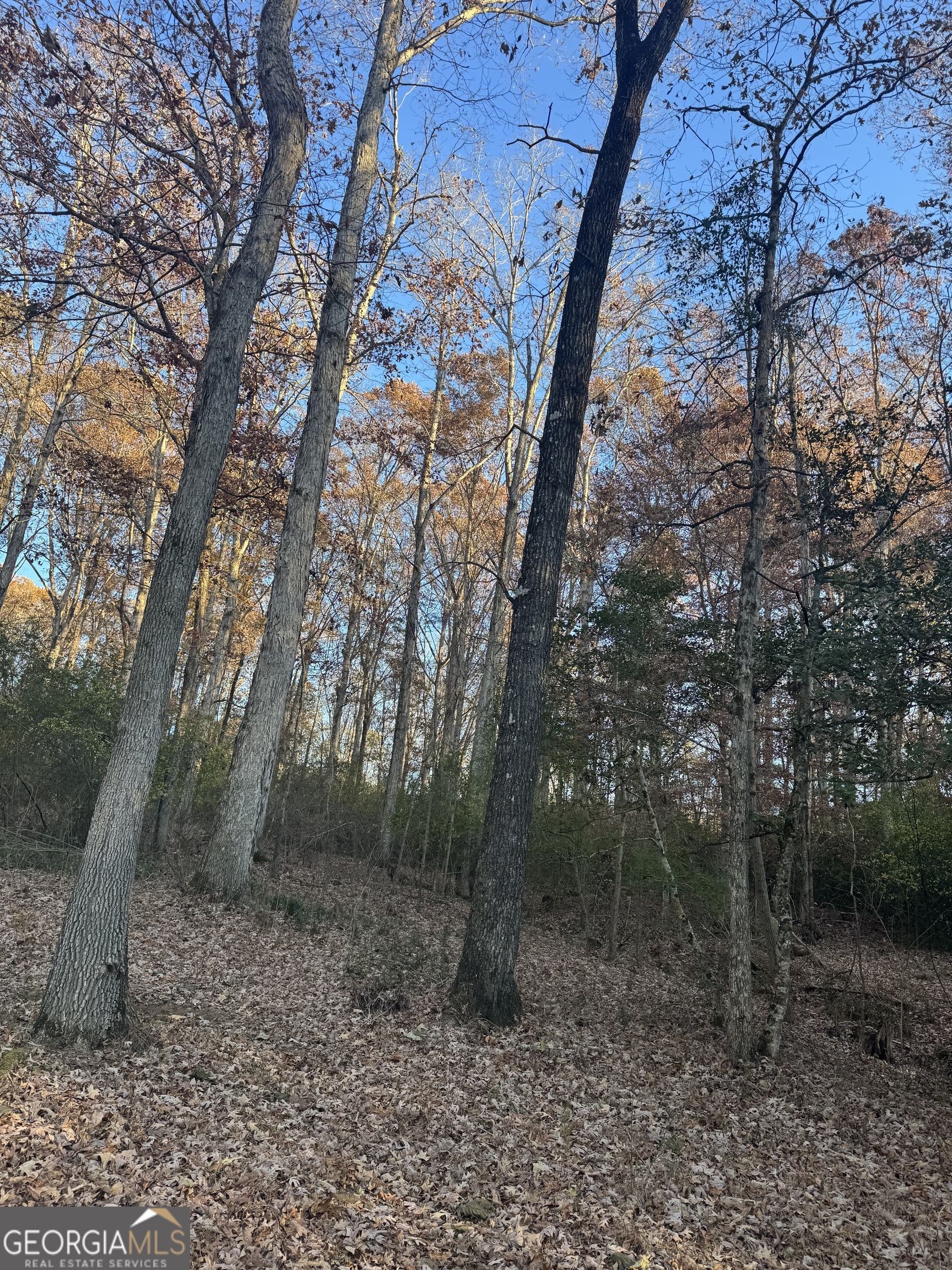 Quiet Oaks - Land